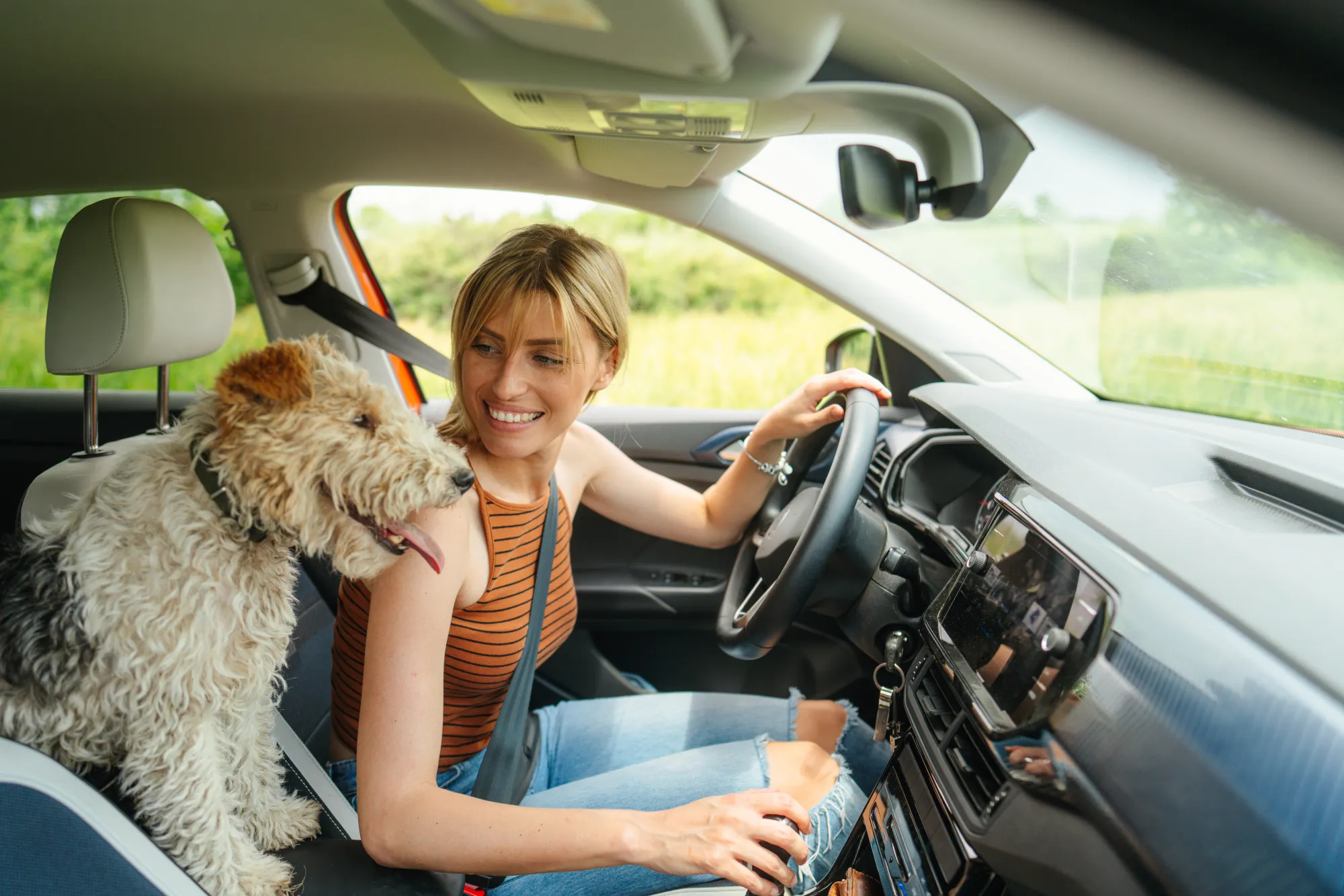 A smiling woman in the driver's seat of a car looks at a shaggy dog sitting on the passenger seat, with green fields visible outside.